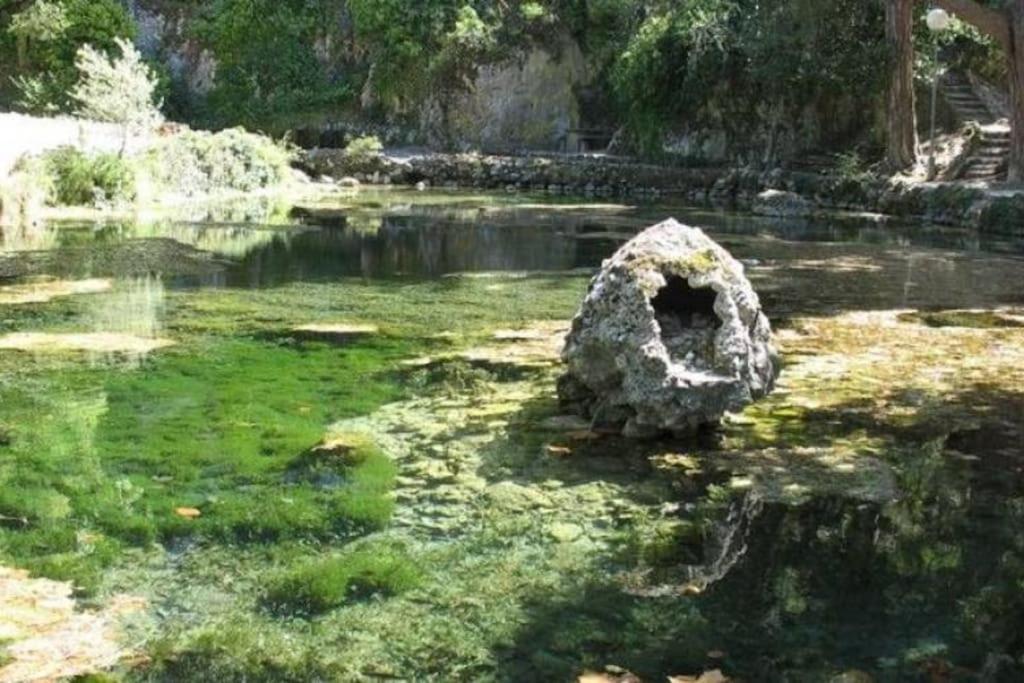 Le Petit Refuge Malaucene